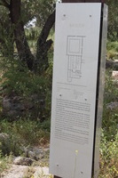 Canon EOS DIGITAL REBEL XSi, 2010:04:09 17:37:06 -- 1/250 sec, f/10.0.  No Flash, Compulsory.3088x2056 Off.