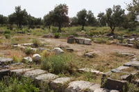 Canon EOS DIGITAL REBEL XSi, 2010:04:09 17:37:11 -- 1/320 sec, f/11.0.  No Flash, Compulsory.3088x2056 Off.