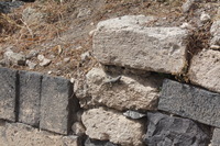 Canon EOS DIGITAL REBEL XSi, 2010:04:09 17:53:40 -- 1/320 sec, f/11.0.  No Flash, Compulsory.3088x2056 Off.