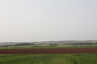 Canon EOS DIGITAL REBEL XSi, 2010:04:09 20:49:47 -- 1/200 sec, f/14.0.  Flash, Compulsory.3088x2056 External Flash.