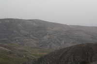 Canon EOS DIGITAL REBEL XSi, 2010:04:09 21:22:15 -- 1/200 sec, f/8.0.  No Flash, Compulsory.3088x2056 Off.