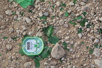 Canon EOS DIGITAL REBEL XSi, 2010:04:09 21:33:01 -- 1/100 sec, f/5.6.  No Flash, Compulsory.3088x2056 Off.