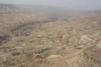 Canon EOS DIGITAL REBEL XSi, 2010:04:10 13:27:53 -- 1/250 sec, f/10.0.  No Flash, Compulsory.3088x2056 Off.