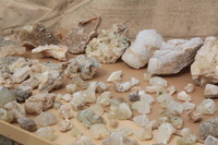 Canon EOS DIGITAL REBEL XSi, 2010:04:10 13:28:47 -- 1/320 sec, f/10.0.  No Flash, Compulsory.3088x2056 Off.