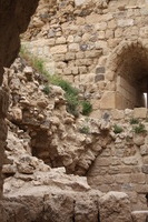 Canon EOS DIGITAL REBEL XSi, 2010:04:10 14:48:57 -- 1/160 sec, f/9.0.  No Flash, Compulsory.3088x2056 Off.