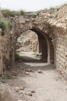 Canon EOS DIGITAL REBEL XSi, 2010:04:10 14:55:11 -- 1/250 sec, f/10.0.  No Flash, Compulsory.3088x2056 Off.