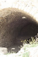 Canon EOS DIGITAL REBEL XSi, 2010:04:10 14:56:45 -- 1/200 sec, f/8.0.  Flash, Compulsory.3088x2056 External Flash.