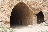 Canon EOS DIGITAL REBEL XSi, 2010:04:10 15:01:20 -- 1/200 sec, f/9.0.  No Flash.3088x2056 External Flash.