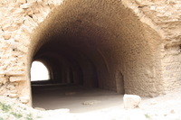 Canon EOS DIGITAL REBEL XSi, 2010:04:10 15:01:29 -- 1/125 sec, f/7.1.  No Flash.3088x2056 External Flash.