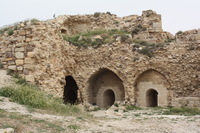 Canon EOS DIGITAL REBEL XSi, 2010:04:10 15:02:48 -- 1/250 sec, f/10.0.  No Flash.3088x2056 External Flash.