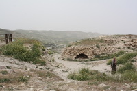 Canon EOS DIGITAL REBEL XSi, 2010:04:10 15:03:34 -- 1/320 sec, f/11.0.  No Flash.3088x2056 External Flash.