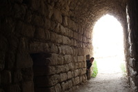 Canon EOS DIGITAL REBEL XSi, 2010:04:10 15:06:18 -- 1/60 sec, f/5.0.  No Flash, Compulsory.3088x2056 Off.