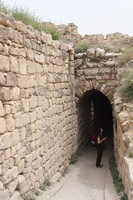 Canon EOS DIGITAL REBEL XSi, 2010:04:10 15:07:31 -- 1/250 sec, f/10.0.  No Flash, Compulsory.3088x2056 Off.