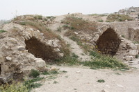 Canon EOS DIGITAL REBEL XSi, 2010:04:10 15:08:33 -- 1/250 sec, f/11.0.  No Flash, Compulsory.3088x2056 Off.