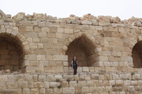 Canon EOS DIGITAL REBEL XSi, 2010:04:10 15:13:47 -- 1/250 sec, f/11.0.  No Flash, Compulsory.3088x2056 Off.