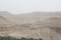 Canon EOS DIGITAL REBEL XSi, 2010:04:10 16:20:56 -- 1/320 sec, f/11.0.  No Flash, Compulsory.3088x2056 Off.