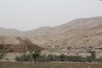 Canon EOS DIGITAL REBEL XSi, 2010:04:10 16:22:01 -- 1/400 sec, f/11.0.  No Flash, Compulsory.3088x2056 Off.