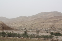 Canon EOS DIGITAL REBEL XSi, 2010:04:10 16:22:02 -- 1/400 sec, f/11.0.  No Flash, Compulsory.3088x2056 Off.