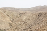 Canon EOS DIGITAL REBEL XSi, 2010:04:10 16:25:20 -- 1/250 sec, f/11.0.  No Flash, Compulsory.3088x2056 Off.