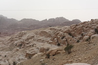 Canon EOS DIGITAL REBEL XSi, 2010:04:10 20:18:06 -- 1/200 sec, f/9.0.  No Flash, Compulsory.3088x2056 Off.