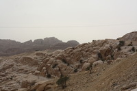 Canon EOS DIGITAL REBEL XSi, 2010:04:10 20:18:09 -- 1/200 sec, f/16.0.  Flash, Compulsory.3088x2056 External Flash.