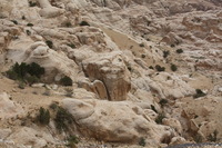 Canon EOS DIGITAL REBEL XSi, 2010:04:10 20:18:16 -- 1/200 sec, f/9.0.  No Flash, Compulsory.3088x2056 Off.