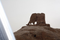 Canon EOS DIGITAL REBEL XSi, 2010:04:10 20:27:07 -- 1/200 sec, f/18.0.  Flash, Compulsory.3088x2056 External Flash.