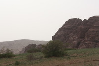 Canon EOS DIGITAL REBEL XSi, 2010:04:10 20:29:24 -- 1/250 sec, f/10.0.  No Flash, Compulsory.3088x2056 Off.