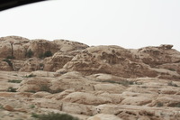 Canon EOS DIGITAL REBEL XSi, 2010:04:10 20:30:01 -- 1/160 sec, f/9.0.  No Flash, Compulsory.3088x2056 Off.