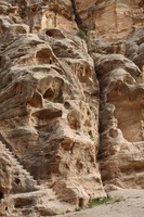 Canon EOS DIGITAL REBEL XSi, 2010:04:10 20:45:39 -- 1/160 sec, f/8.0.  No Flash, Compulsory.3088x2056 Off.