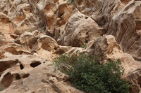 Canon EOS DIGITAL REBEL XSi, 2010:04:10 20:45:41 -- 1/125 sec, f/8.0.  No Flash, Compulsory.3088x2056 Off.