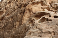 Canon EOS DIGITAL REBEL XSi, 2010:04:10 20:45:43 -- 1/160 sec, f/8.0.  No Flash, Compulsory.3088x2056 Off.