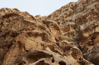 Canon EOS DIGITAL REBEL XSi, 2010:04:10 20:45:44 -- 1/200 sec, f/8.0.  No Flash, Compulsory.3088x2056 Off.