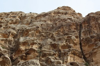 Canon EOS DIGITAL REBEL XSi, 2010:04:10 20:45:45 -- 1/160 sec, f/8.0.  No Flash, Compulsory.3088x2056 Off.