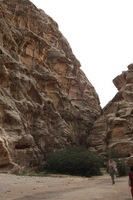 Canon EOS DIGITAL REBEL XSi, 2010:04:10 20:45:54 -- 1/200 sec, f/8.0.  No Flash, Compulsory.3088x2056 Off.