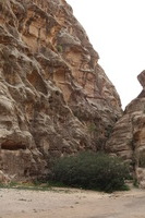 Canon EOS DIGITAL REBEL XSi, 2010:04:10 20:46:41 -- 1/160 sec, f/8.0.  No Flash, Compulsory.3088x2056 Off.