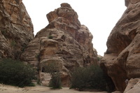 Canon EOS DIGITAL REBEL XSi, 2010:04:10 20:46:43 -- 1/160 sec, f/8.0.  No Flash, Compulsory.3088x2056 Off.