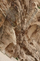 Canon EOS DIGITAL REBEL XSi, 2010:04:10 20:46:53 -- 1/125 sec, f/7.1.  No Flash, Compulsory.3088x2056 Off.