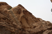 Canon EOS DIGITAL REBEL XSi, 2010:04:10 20:46:55 -- 1/200 sec, f/8.0.  No Flash, Compulsory.3088x2056 Off.