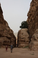 Canon EOS DIGITAL REBEL XSi, 2010:04:10 20:46:57 -- 1/250 sec, f/10.0.  No Flash, Compulsory.3088x2056 Off.