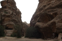 Canon EOS DIGITAL REBEL XSi, 2010:04:10 20:47:04 -- 1/200 sec, f/10.0.  No Flash, Compulsory.3088x2056 Off.