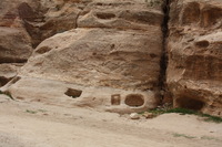 Canon EOS DIGITAL REBEL XSi, 2010:04:10 20:47:06 -- 1/160 sec, f/8.0.  No Flash, Compulsory.3088x2056 Off.