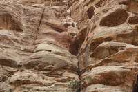 Canon EOS DIGITAL REBEL XSi, 2010:04:10 20:47:07 -- 1/125 sec, f/7.1.  No Flash, Compulsory.3088x2056 Off.