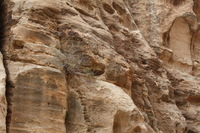 Canon EOS DIGITAL REBEL XSi, 2010:04:10 20:47:11 -- 1/125 sec, f/7.1.  No Flash, Compulsory.3088x2056 Off.