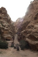 Canon EOS DIGITAL REBEL XSi, 2010:04:10 20:49:52 -- 1/200 sec, f/9.0.  No Flash, Compulsory.3088x2056 Off.