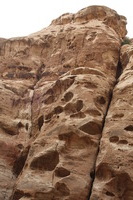 Canon EOS DIGITAL REBEL XSi, 2010:04:10 20:50:00 -- 1/160 sec, f/8.0.  No Flash, Compulsory.3088x2056 Off.