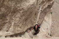 Canon EOS DIGITAL REBEL XSi, 2010:04:10 20:50:20 -- 1/160 sec, f/8.0.  No Flash, Compulsory.3088x2056 Off.