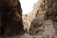 Canon EOS DIGITAL REBEL XSi, 2010:04:10 21:00:08 -- 1/125 sec, f/7.1.  No Flash, Compulsory.3088x2056 Off.