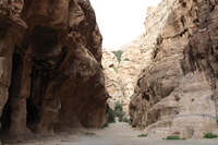 Canon EOS DIGITAL REBEL XSi, 2010:04:10 21:00:32 -- 1/100 sec, f/7.1.  No Flash, Compulsory.3088x2056 Off.