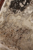 Canon EOS DIGITAL REBEL XSi, 2010:04:10 21:03:28 -- 1/25 sec, f/3.5.  No Flash, Compulsory.3088x2056 Off.